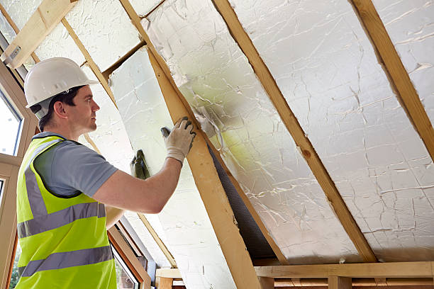 Best Geographic-Specific Insulation Services in Bryn Mawr, PA