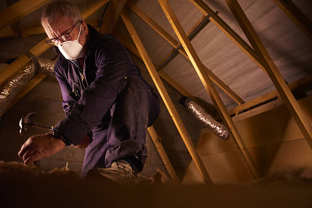 Best Residential Insulation in Bryn Mawr, PA